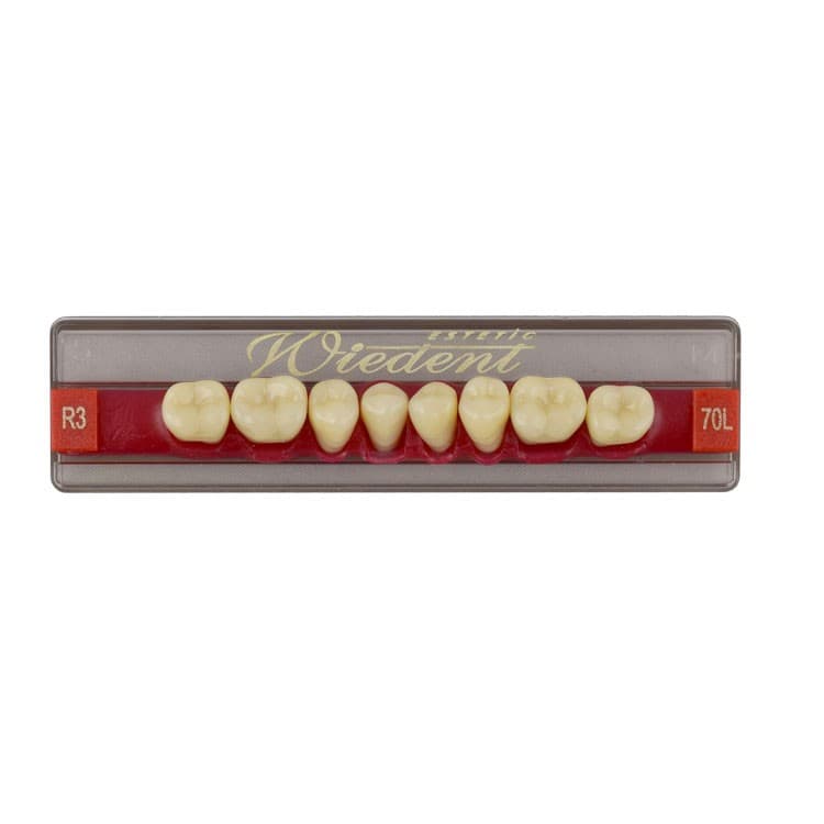 Acrylic teeth lower posteriors no 70 , color R3, 8 pieces – oficiali Falcon Medical produkto nuotrauka