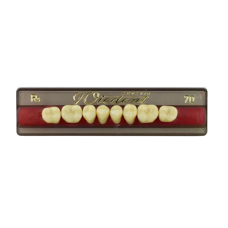 Acrylic teeth lower posteriors no 70 , color R5, 8 pieces – oficiali Falcon Medical produkto nuotrauka
