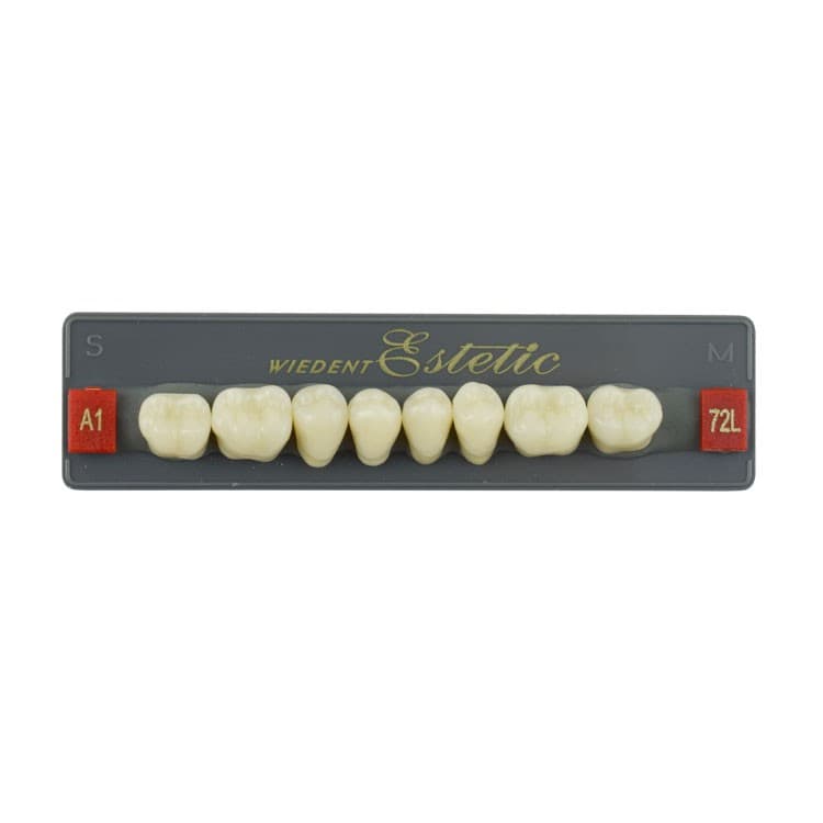 Acrylic teeth lower posteriors no 72 , color A1, 8 pieces – oficiali Falcon Medical produkto nuotrauka