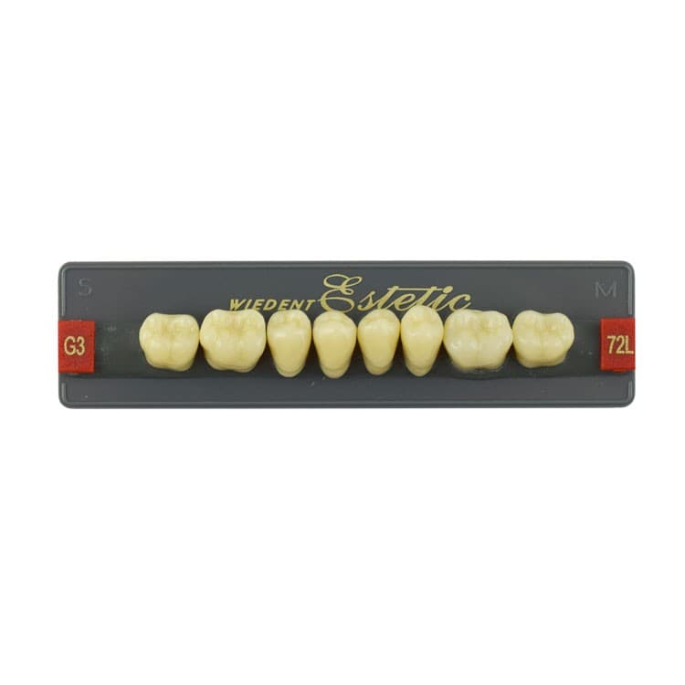 Acrylic teeth lower posteriors no 72 , color G3, 8 pieces – oficiali Falcon Medical produkto nuotrauka