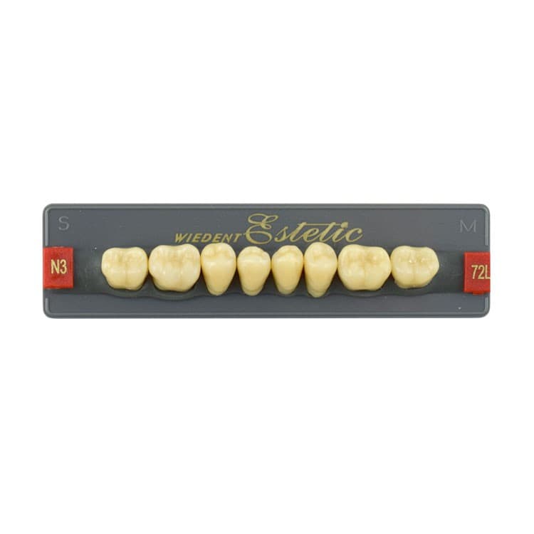 Acrylic teeth lower posteriors no 72 , color N3, 8 pieces – oficiali Falcon Medical produkto nuotrauka