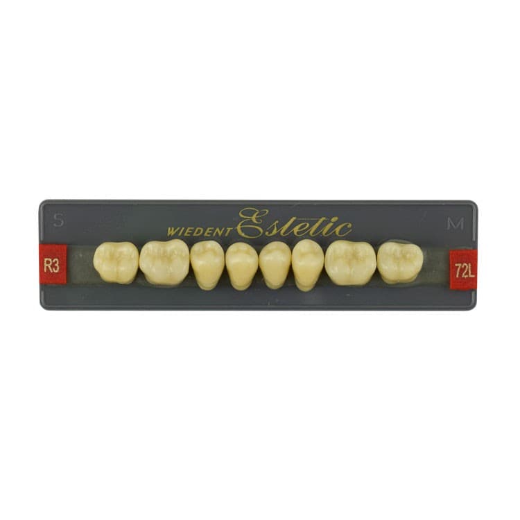 Acrylic teeth lower posteriors no 72 , color R3, 8 pieces – oficiali Falcon Medical produkto nuotrauka