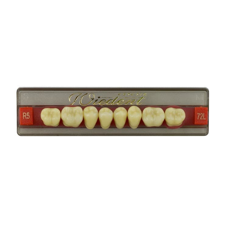 Acrylic teeth lower posteriors no 72 , color R5, 8 pieces – oficiali Falcon Medical produkto nuotrauka