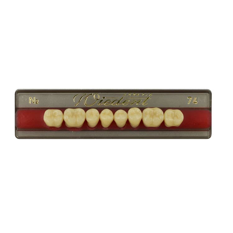 Acrylic teeth lower posteriors no 74 , color N2, 8 pieces – oficiali Falcon Medical produkto nuotrauka