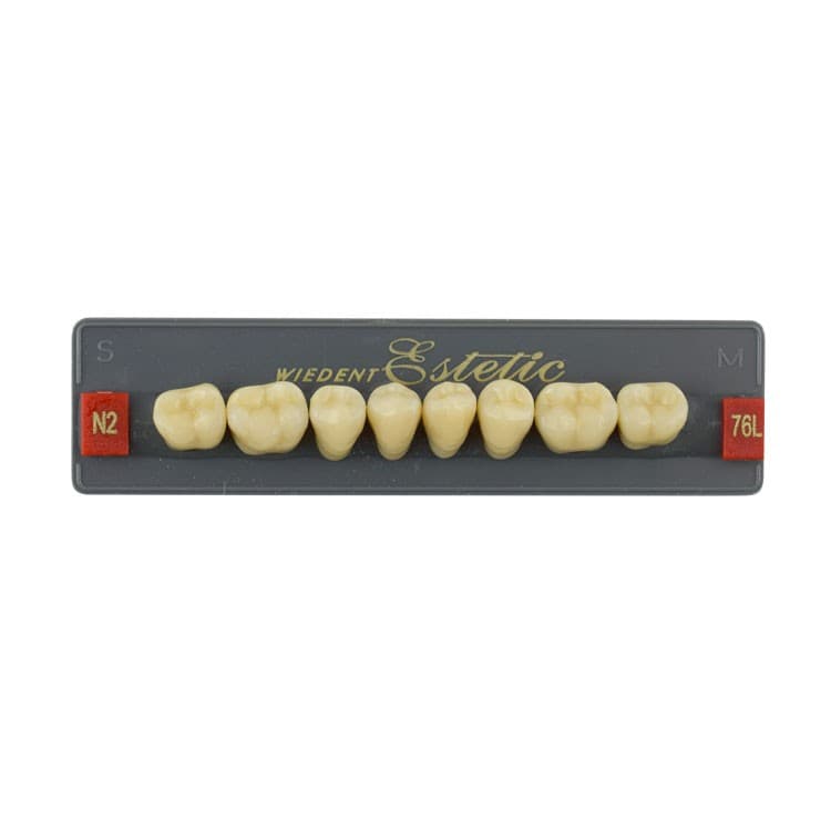 Acrylic teeth lower posteriors no 76 , color N2, 8 pieces – oficiali Falcon Medical produkto nuotrauka