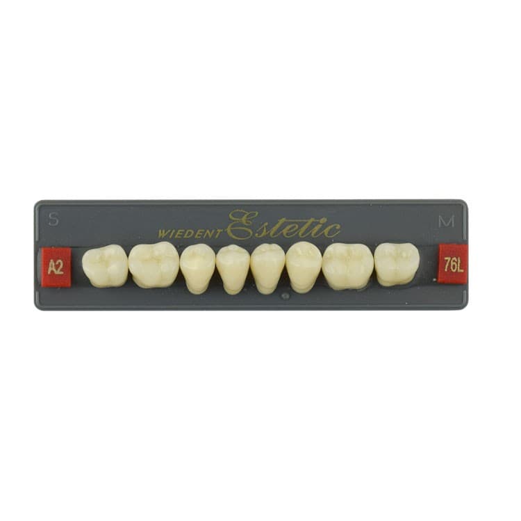 Acrylic teeth lower posteriors no 76 , color A2, 8 pieces – oficiali Falcon Medical produkto nuotrauka