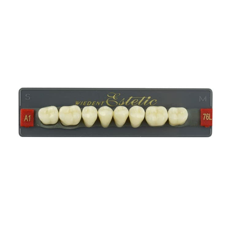 Acrylic teeth lower posteriors no 76 , color A1, 8 pieces – oficiali Falcon Medical produkto nuotrauka