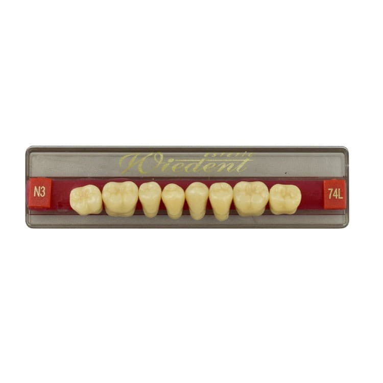 Acrylic teeth lower posteriors no 74 , color N3, 8 pieces – oficiali Falcon Medical produkto nuotrauka