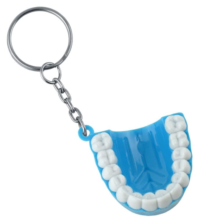 Tooth shape dental keychain blue – oficiali Falcon Medical produkto nuotrauka